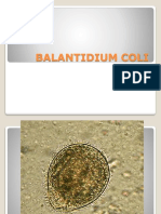 Balantidium Coli