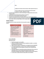 Adenocarcinoma Gastrico