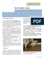 lots_of_cows.pdf