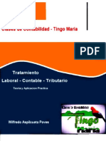 Tratamiento Laboral Contable Tirbutario PDF