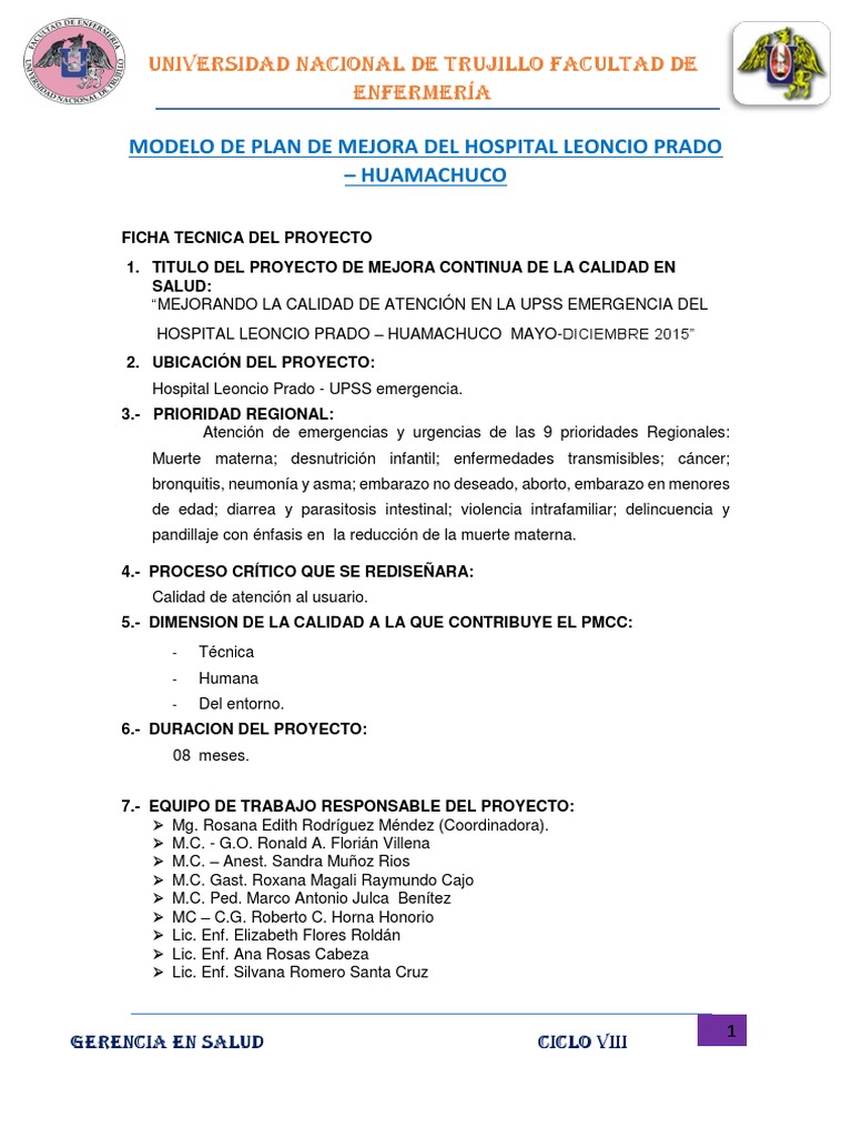 Plan de Mejora en Salud del Hospital Leoncio Prado | PDF | Enfermería ...