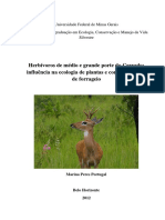 D275_marina_portugal.pdf