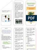 Triptico Feria de Ciencia