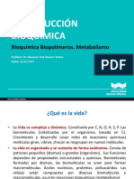 Bioquimica Metabolismo Carbohidratos