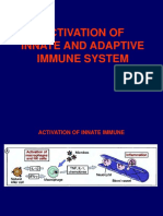 Activation of Innate and Adaptive Immune System