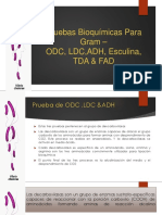 Pruebas Bioquímicas Para Gram –.pptx