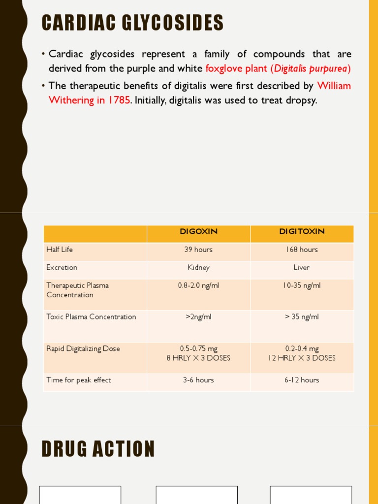 Cardiac Glycosides Foxglove Plant (Digitalis Purpurea) William