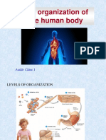 The Organization of The Human Body
