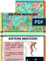 Sistema Nervioso 6