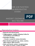 Structure and Function of The Reproductive System