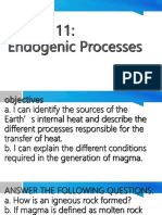 Endogenic Processespresentation1