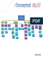 Mapa Conceptual Nic 37