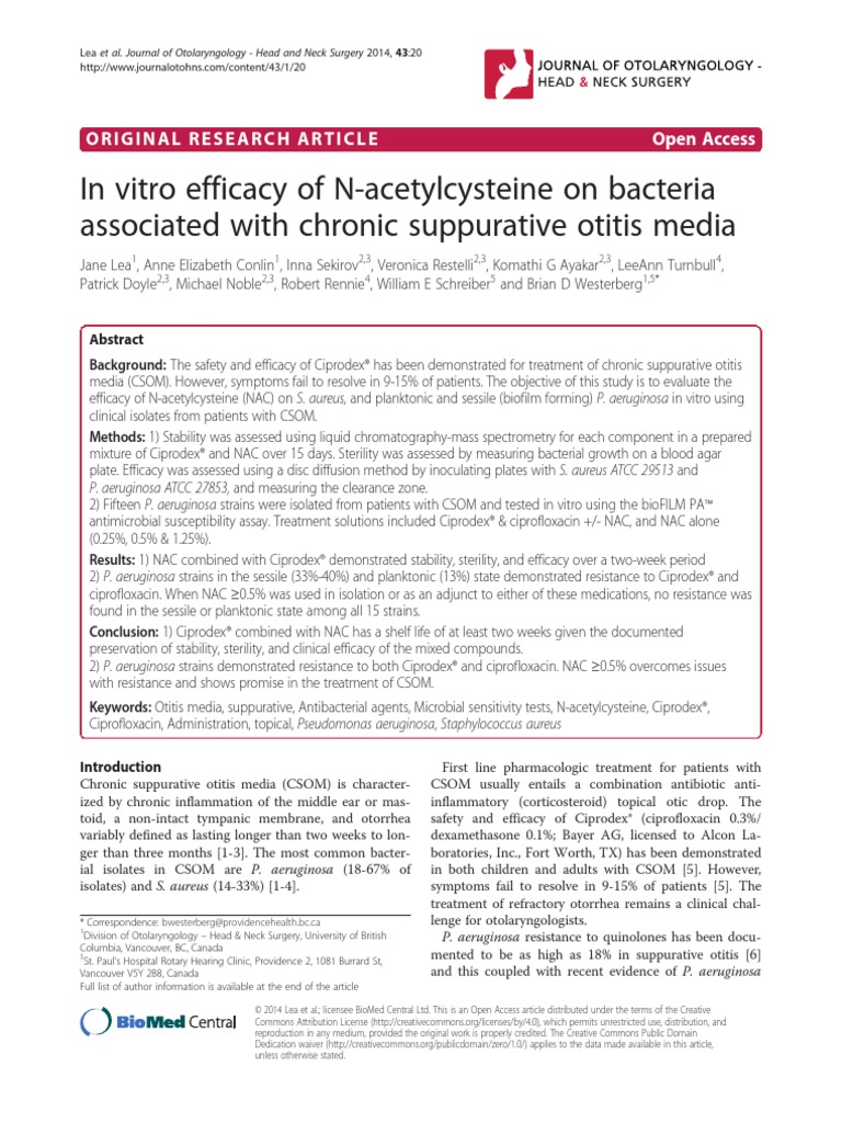 In Vitro Efficacy of N-Acetylcysteine On Bacteria PDF | PDF ...
