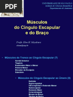 Slides - Teórica 10 - Músculos Cíngulo Escapular e Braço PDF