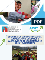 Lineamientos PNSR