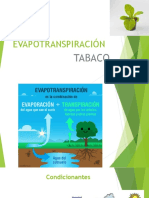 Evapotranspiracion Tabaco