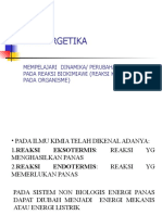 Bioenergetika PP