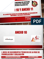 Anexo 10 y 11
