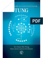 Introducción a la acupuntura de Tung - Dr. Chuan-Min Wang