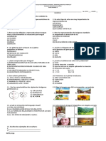 EVAL DIAGNÓSTICA ARTES V