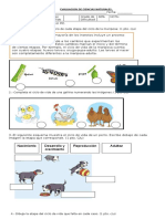 prueba ciencias 2° a