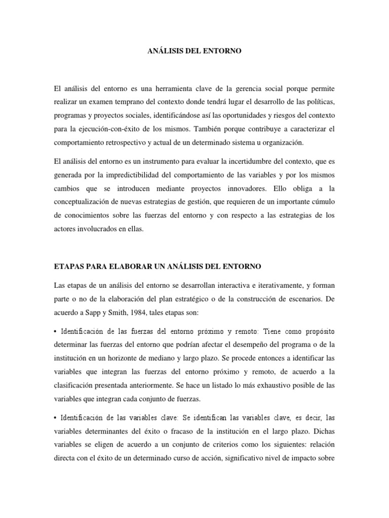 Entorno de la organizacion essay 07 picture