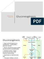 6 Gluconeogénesis.pdf