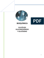 Bioquimica Glucólisis, Gluconeogénesis y Glucógeno