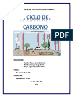 Informe Biologia Ciclo Del Carbono
