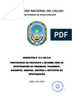 1100-18-R FinalProy3VRI PROTOCOLO DE PROYECTOS (ANEXO).pdf