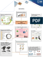 Mapa Mental Biologia