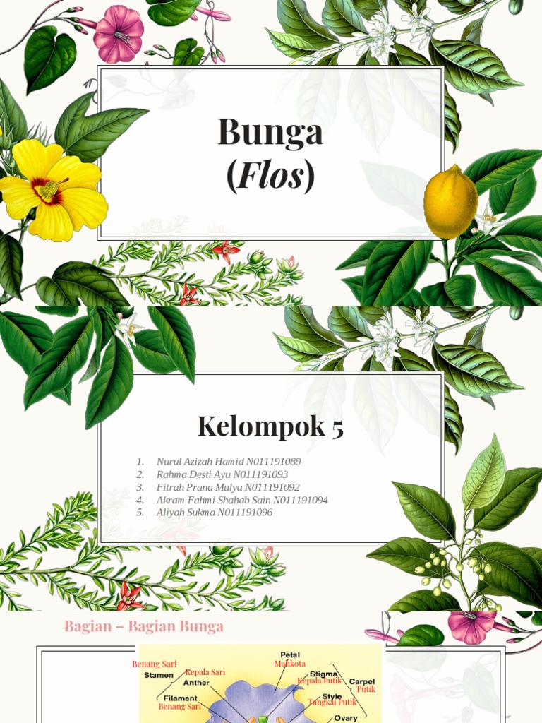Bunga | PDF | Griya & Taman