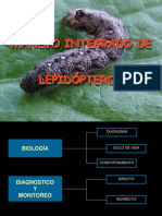 Manejo Integrado de Lepidópteros