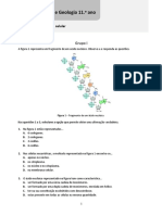 Ficha Biologia e Geologia 11º Ano