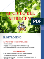 Ciclo Del Carbono y Nitrogeno