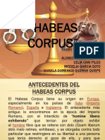tribunal constitucional - accion de amparo- habeas corpus.pptx