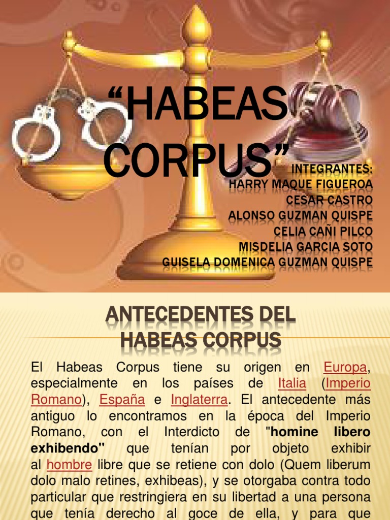 Tribunal Constitucional - Accion de Amparo - Habeas Corpus | PDF ...