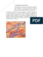 TÉCNICAS DETECCIÓN SÍFILIS VDRL USR