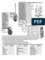 160774315-TALLER-DE-10-FACTORES-DE-PRODUCCION.docx