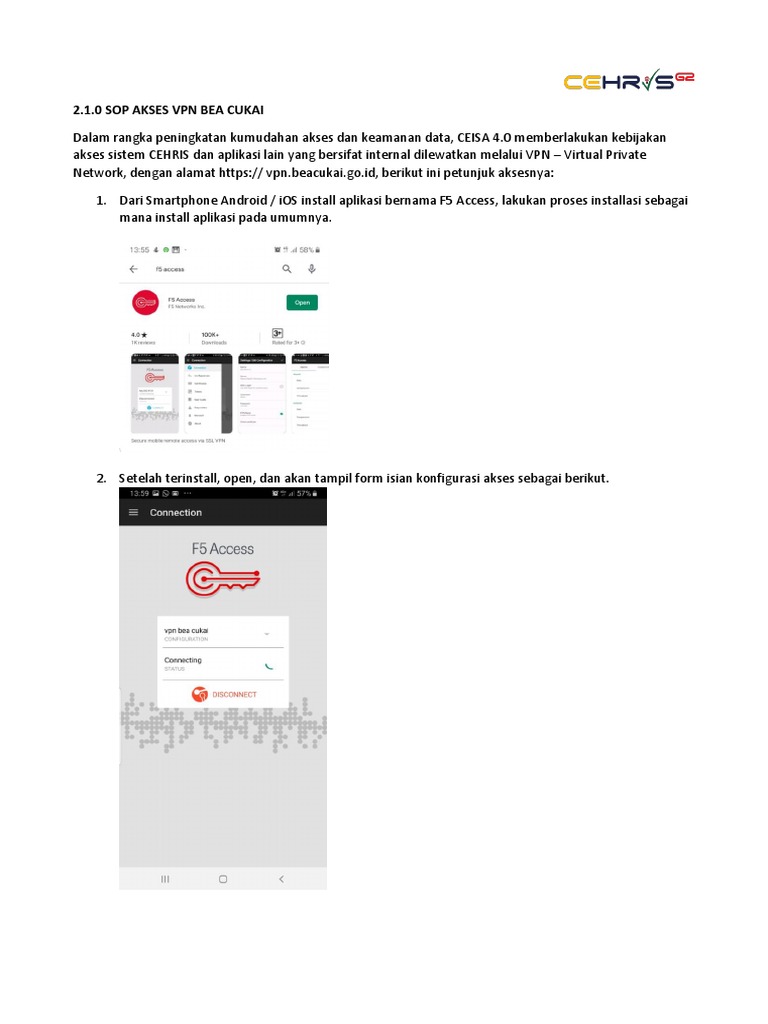 REMOTE ACCESS PROCEDURES FOR CUSTOMS VPN PDF