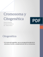 cromosomas