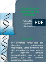 Modificación Genética de Los Alimentos