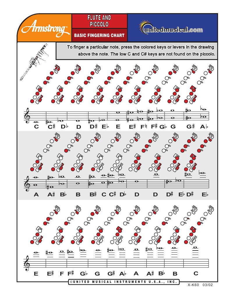 Flauta Transversal Tabela De Digitacao Armstrong Pdf