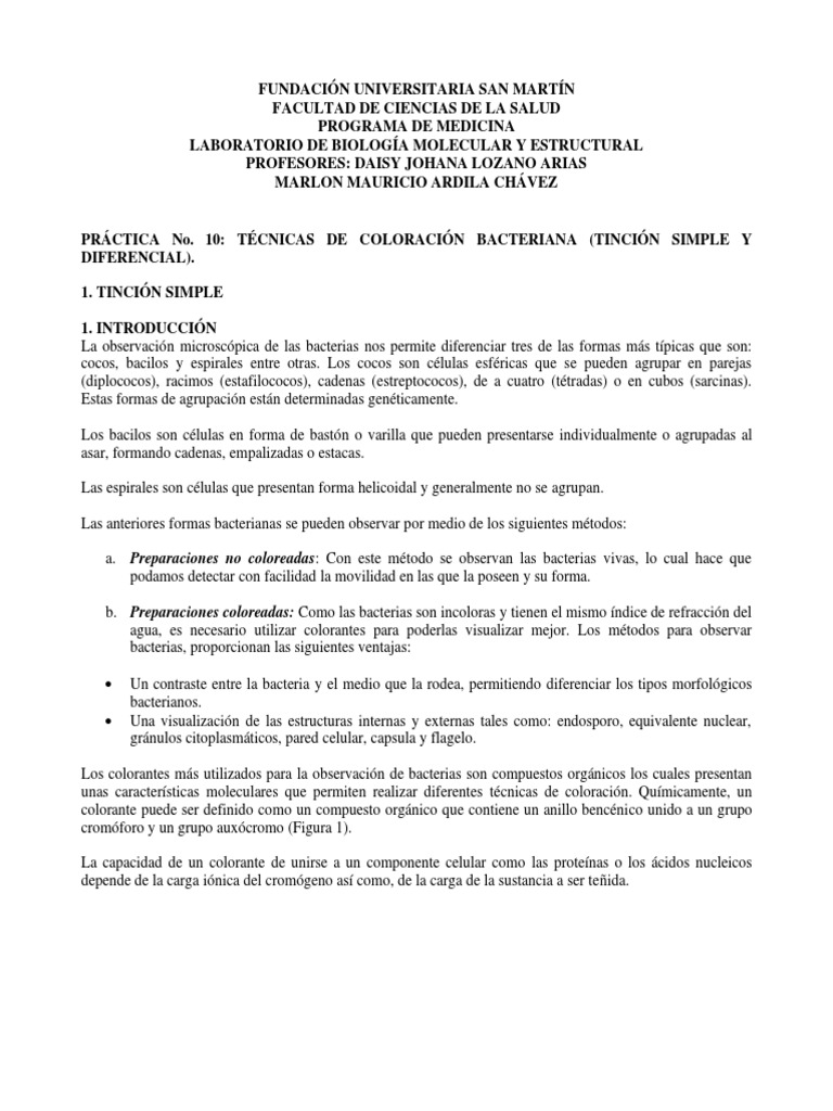 Práctica No. 10. Técnicas de Coloración Bacteriana (Tinción Simple y ...