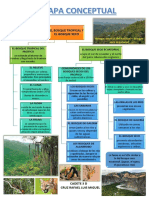 Mapa Conceptual 