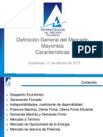 Definición General Del Mercado Mayorista (Características) 2015-02-10