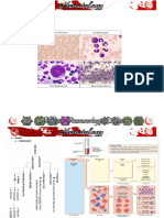 HEMATOPOIESIS