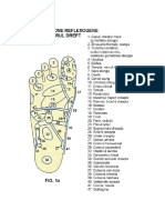 Color 232081195-Puncte-Acupunctura PDF