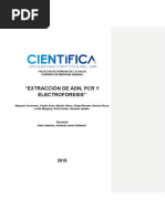 Extracción de ADN, PCR y Electroforesis