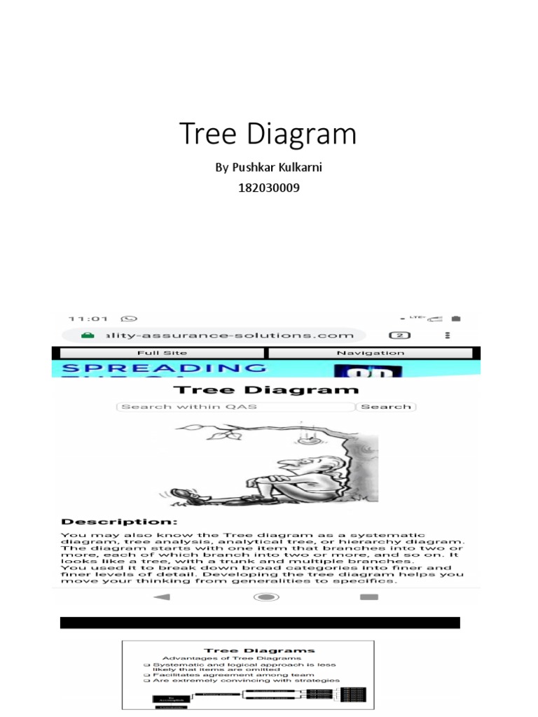 Tree Diagram Basics | PDF